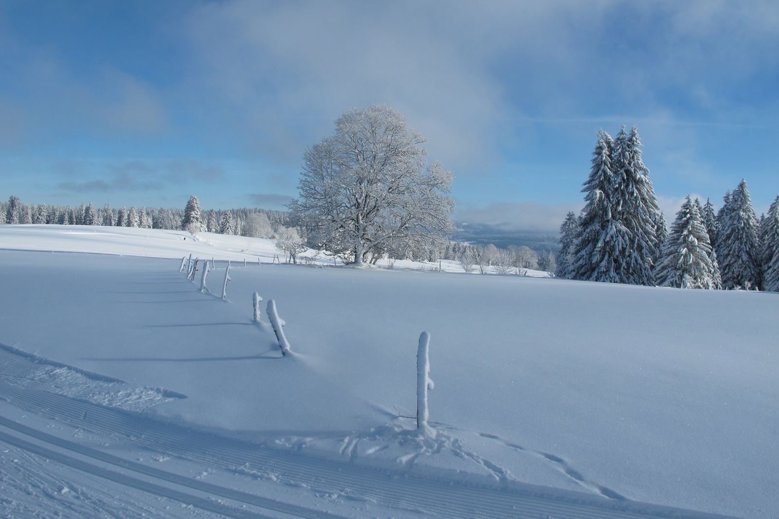 vue sur les montagnes